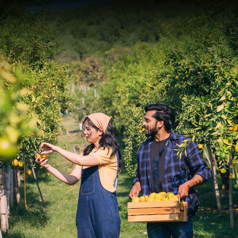 Wellness-Centric Lifestyle: Stay close to organic farms, yoga spaces, and sustainable practices, where health and harmony are part of everyday life.